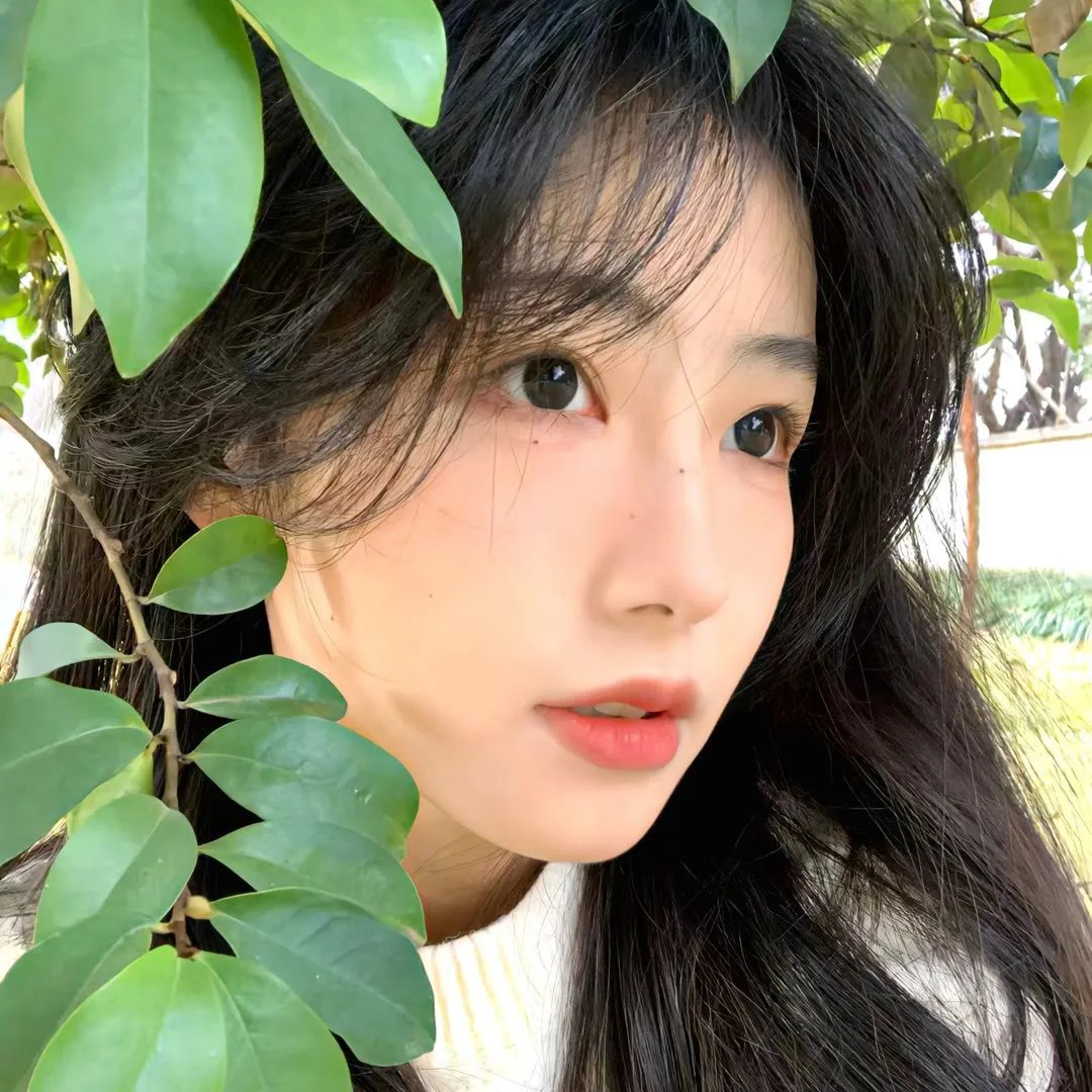 艾达·雷德